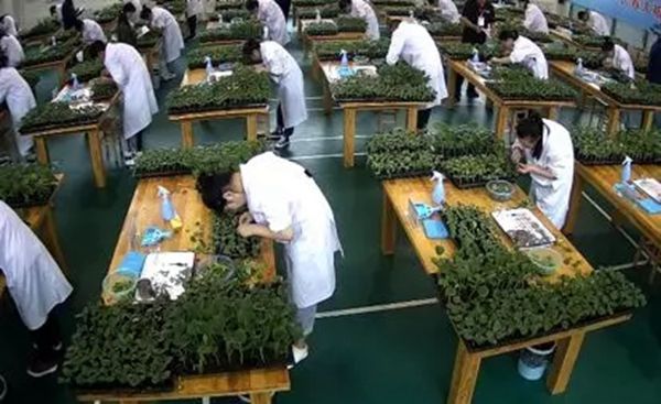 a90597c1f80c7424961f54424feddc86.jpg 640_webp_(5).jpg